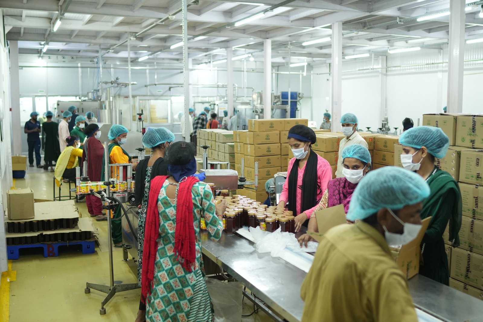 Alpixo honey processing unit image 12