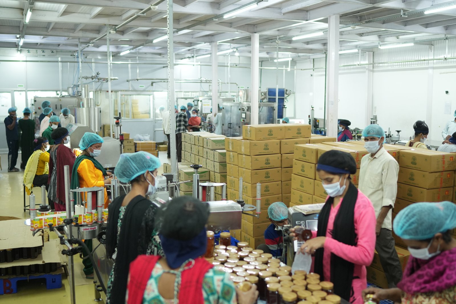 Alpixo honey processing unit image 13