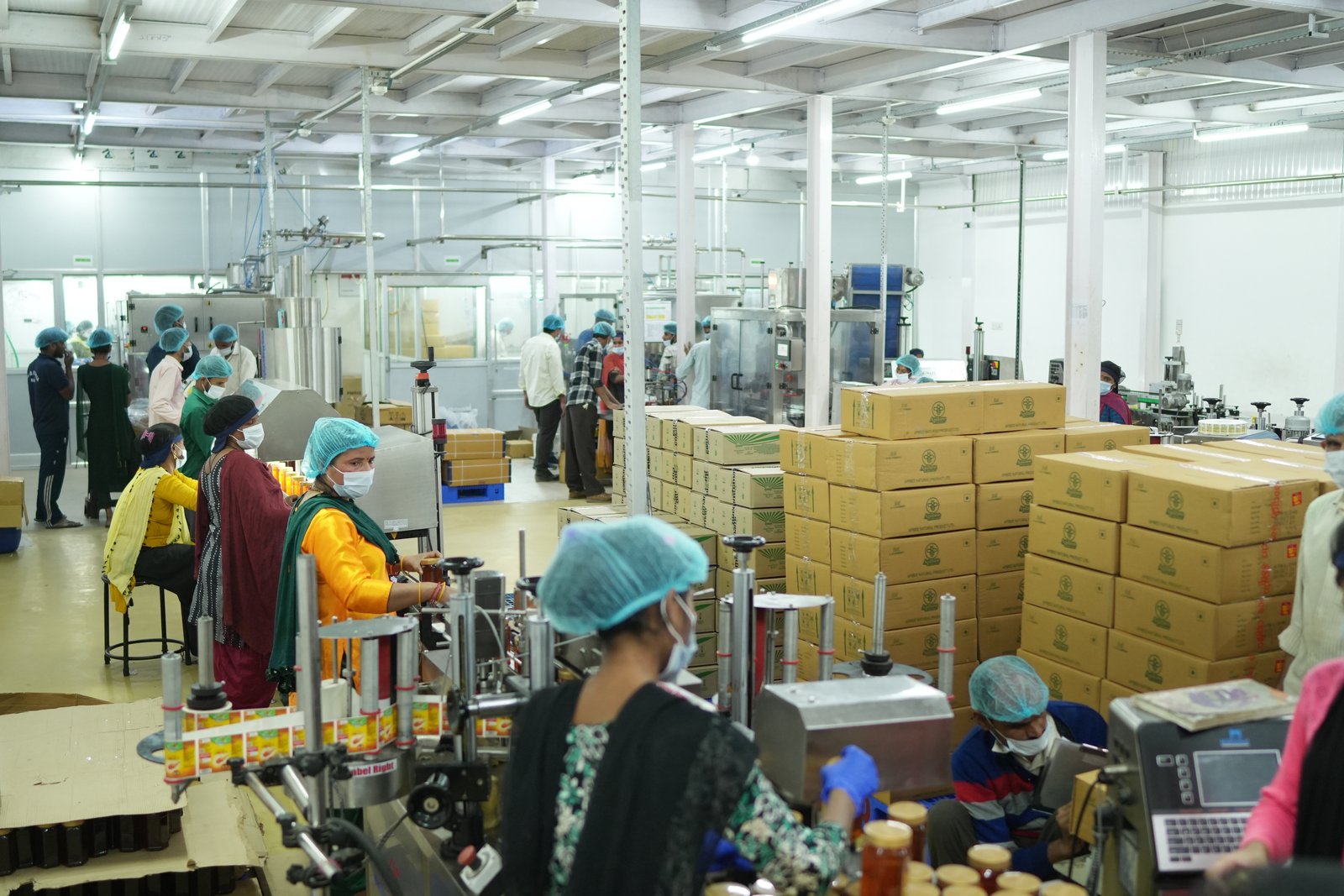 Alpixo honey processing unit image 14