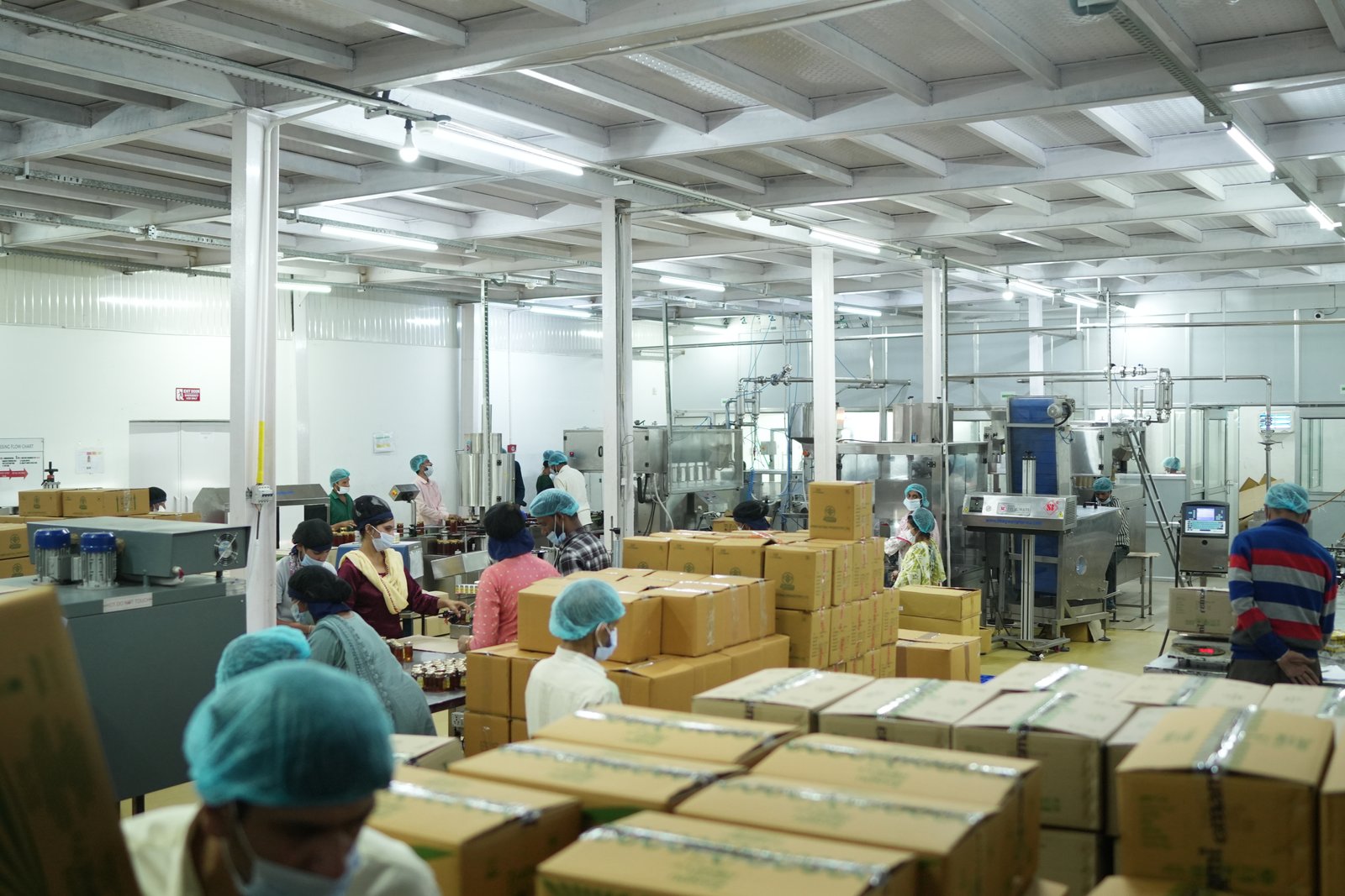 Alpixo honey processing unit image 37