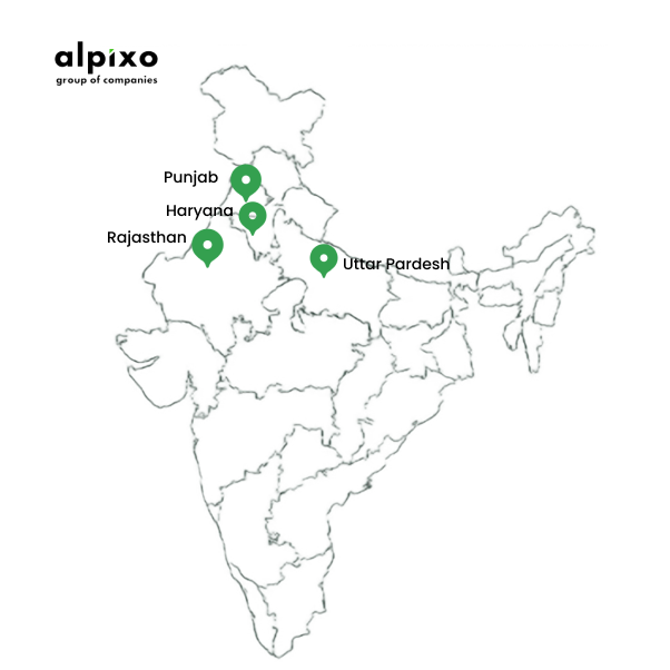 Mustard honey sourced from Punjab, Haryana, Uttar Pradesh, and Rajasthan, India.